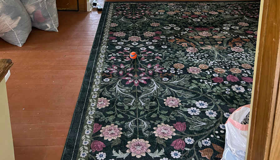 Sarah's room