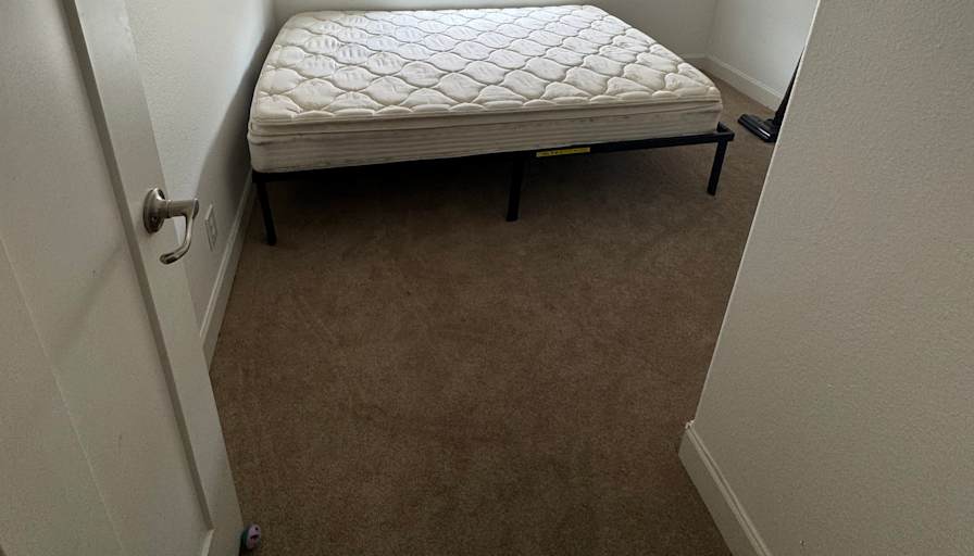 Michelle Carroll's room