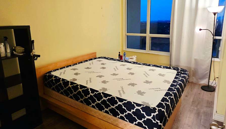 Youn's room