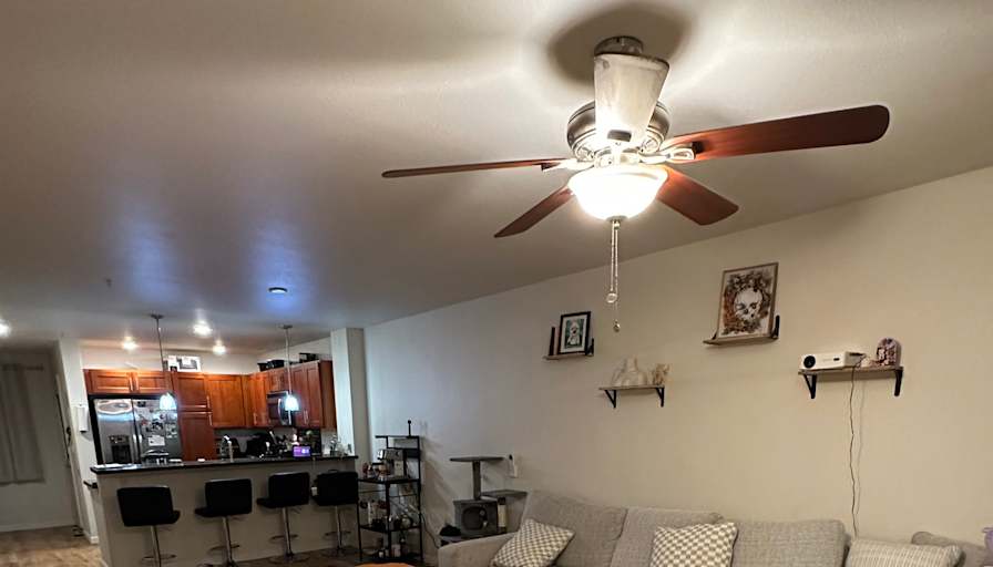Jaqueline's room