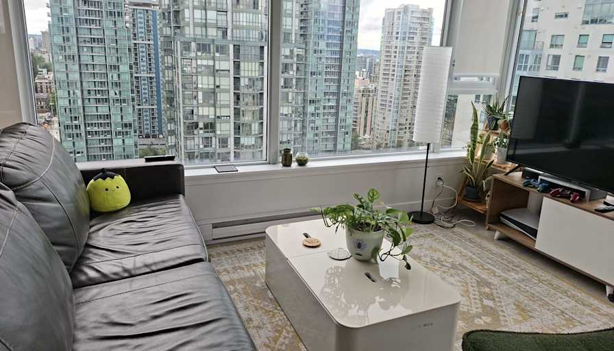 Tomer's room