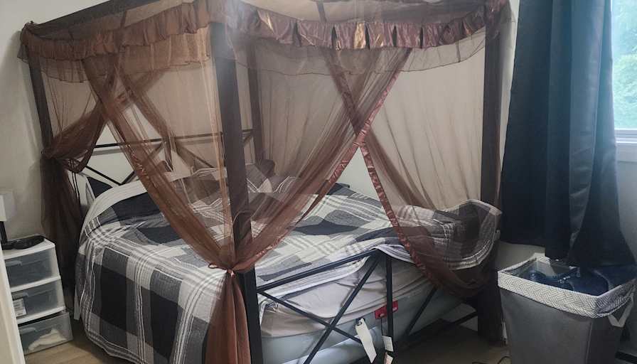 lee kelly's room