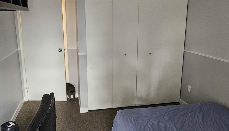 Marc Sauvageau's room