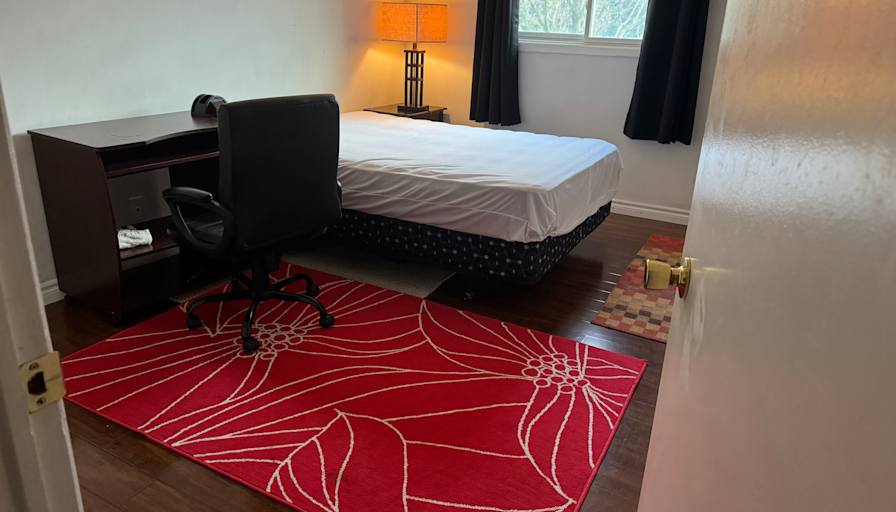 Saru's room