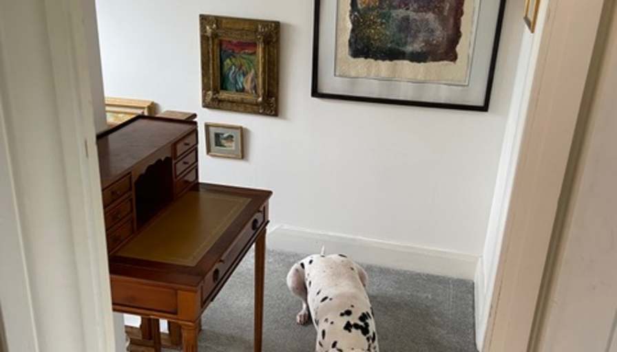 Anne's room