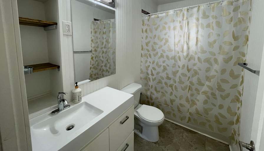 Hamid's room