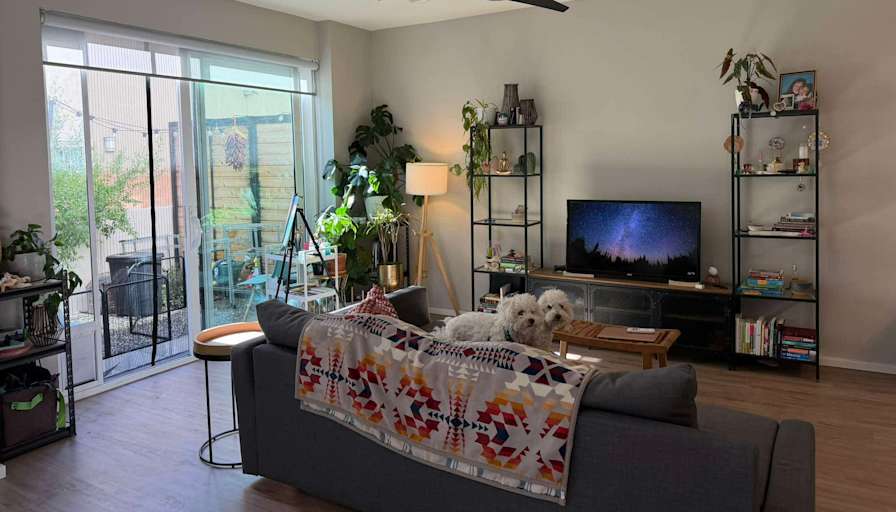 Noah's room