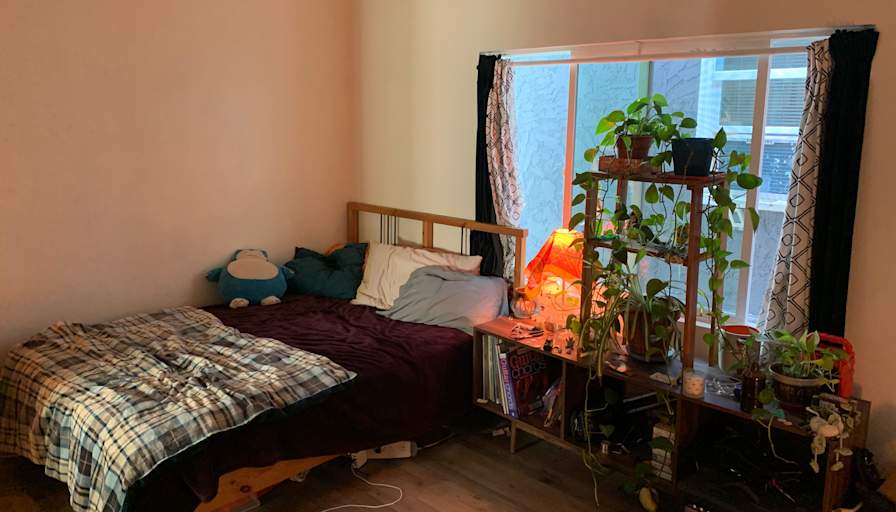 Ray's room