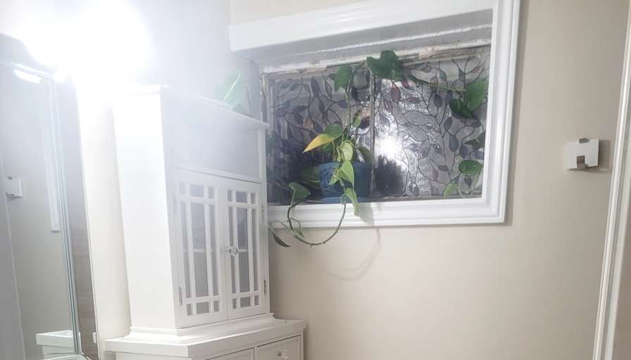 Claudia's room