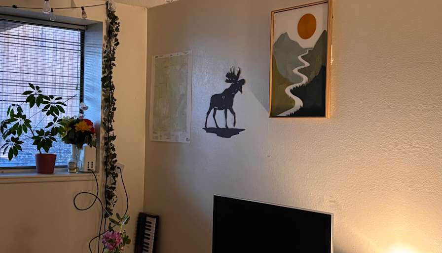 Cassie's room