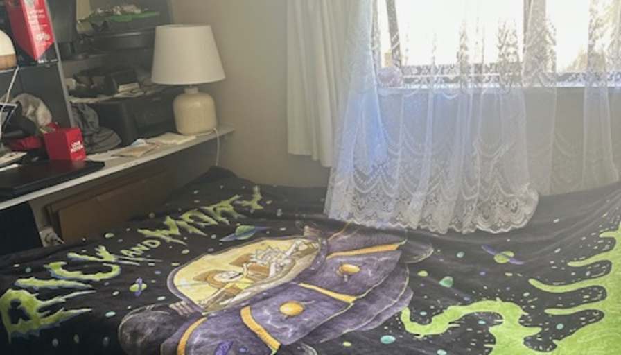 Svetlana's room