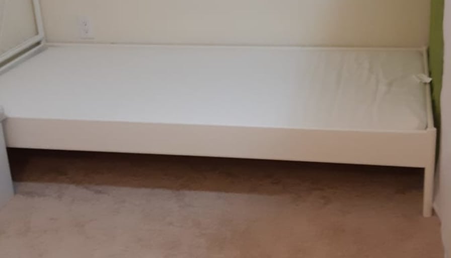 Shaheen's room