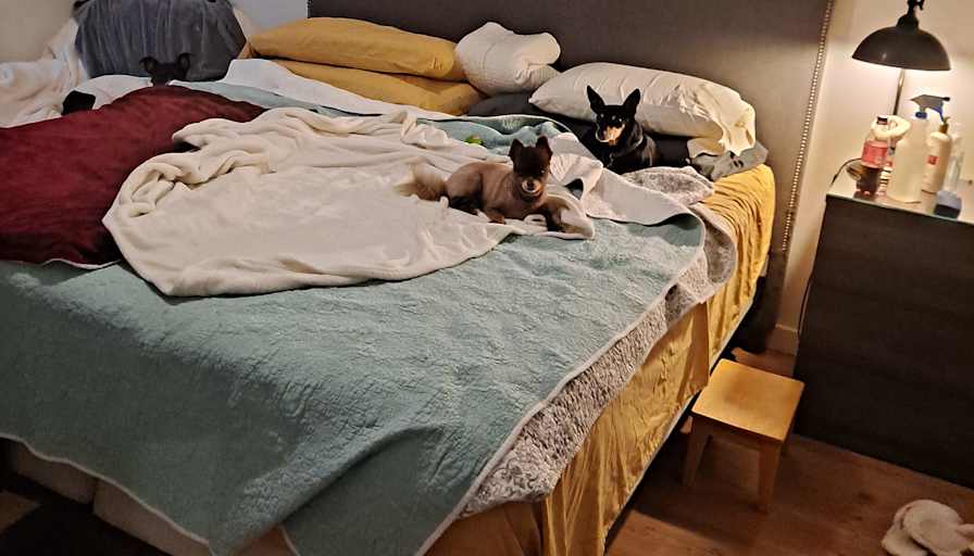 Barbara's room