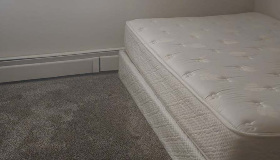 Barb's room