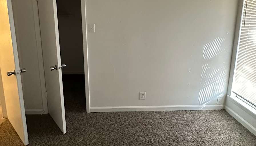 Saralee's room