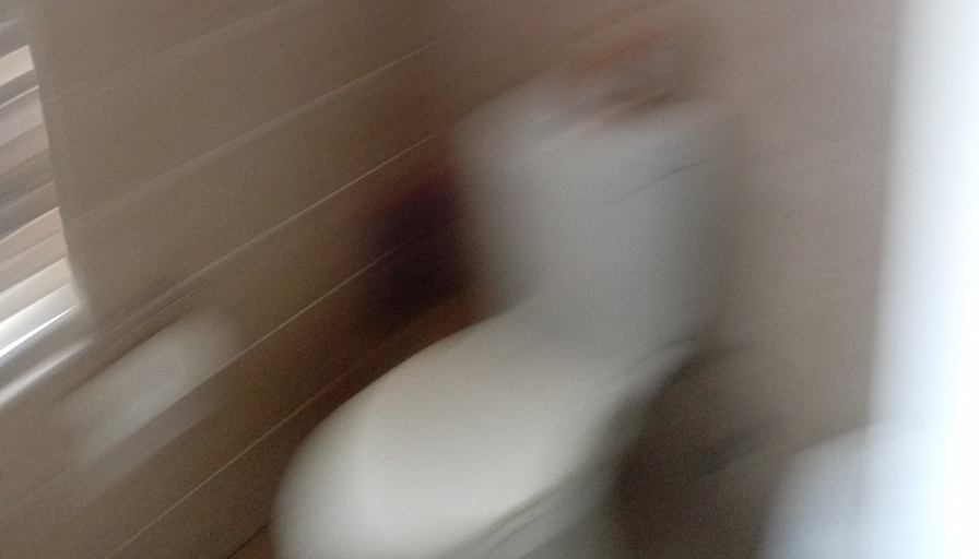Gontse's room