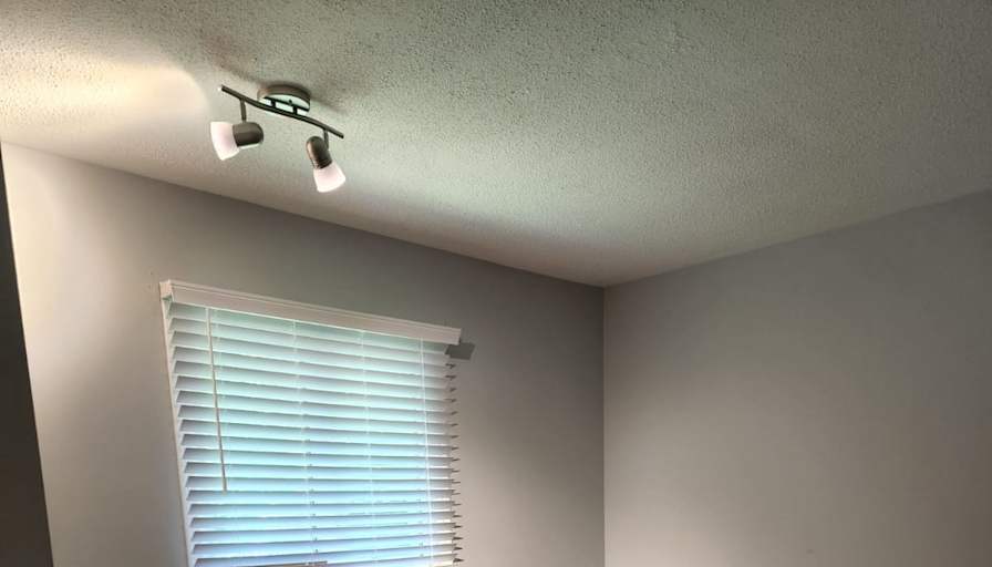 franklyn's room