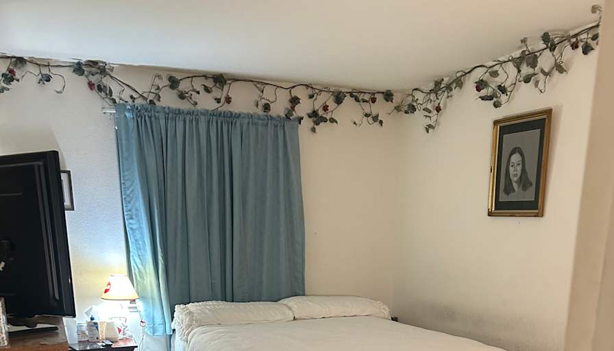 Isabel's room