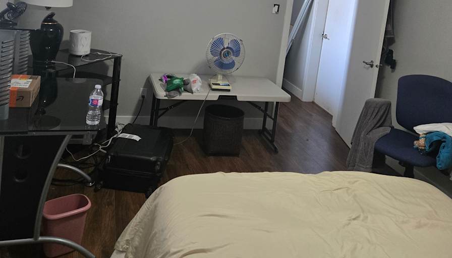 Elana's room