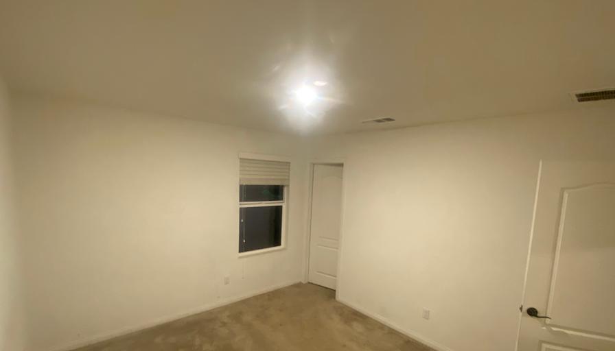 Shane's room