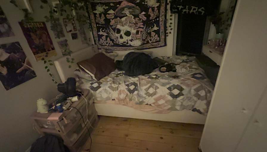 shantia solomon's room