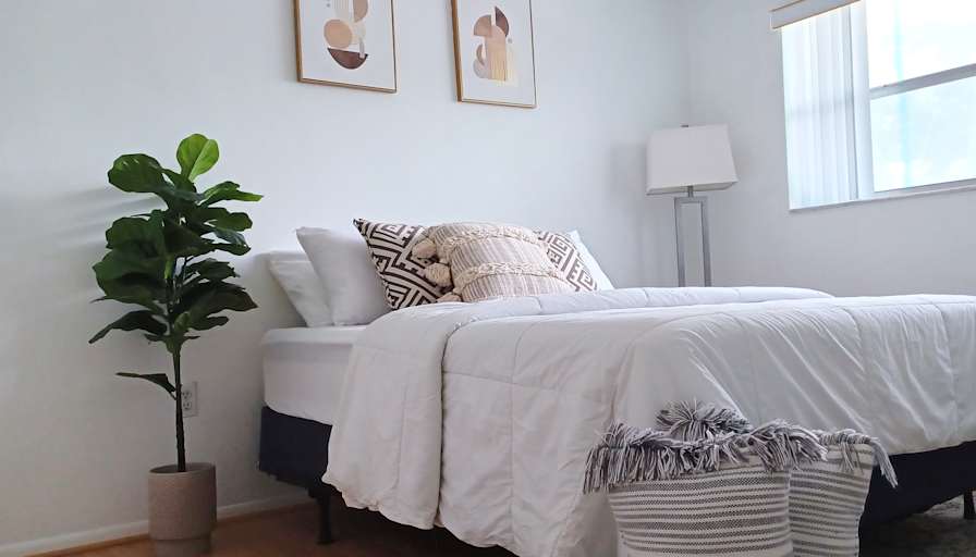 Diana C Ocampo's room