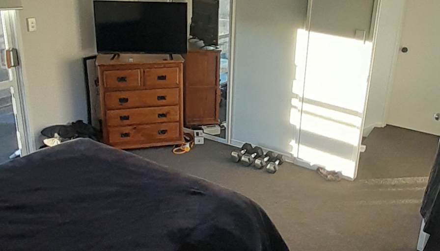 steve kenny's room