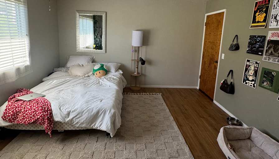 Zoe's room
