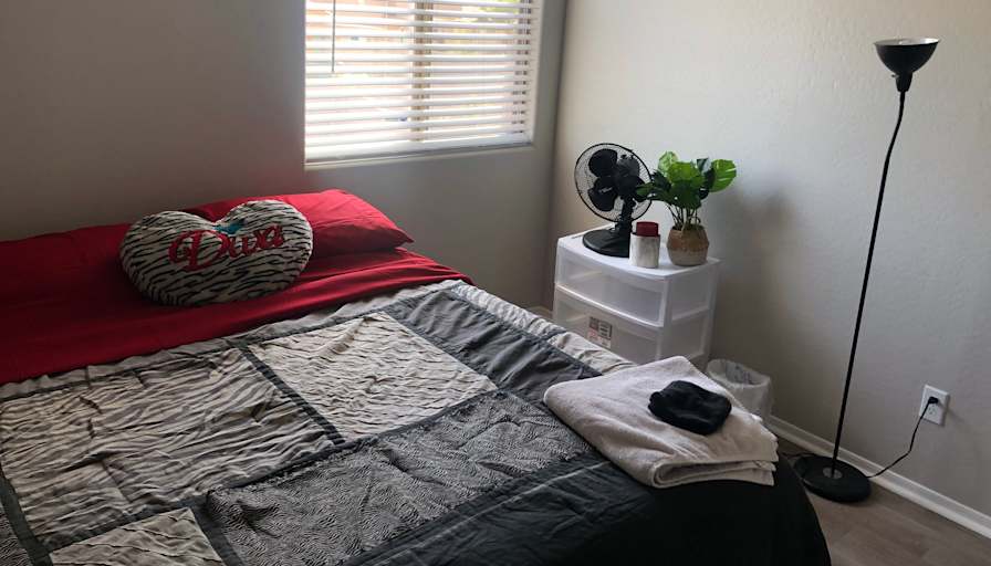 Lia Homes's room