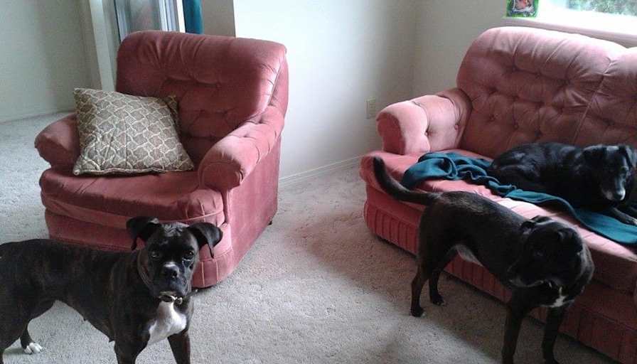 Paula's room