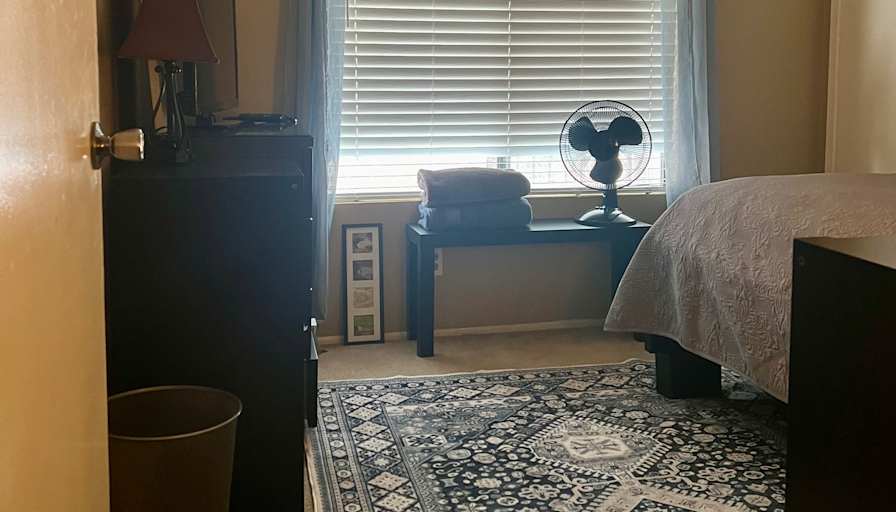 Roberto's room