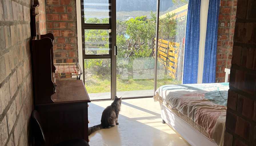 Byrin's room