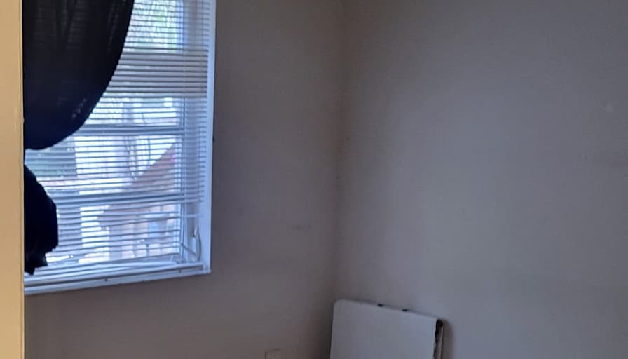 Carolina's room
