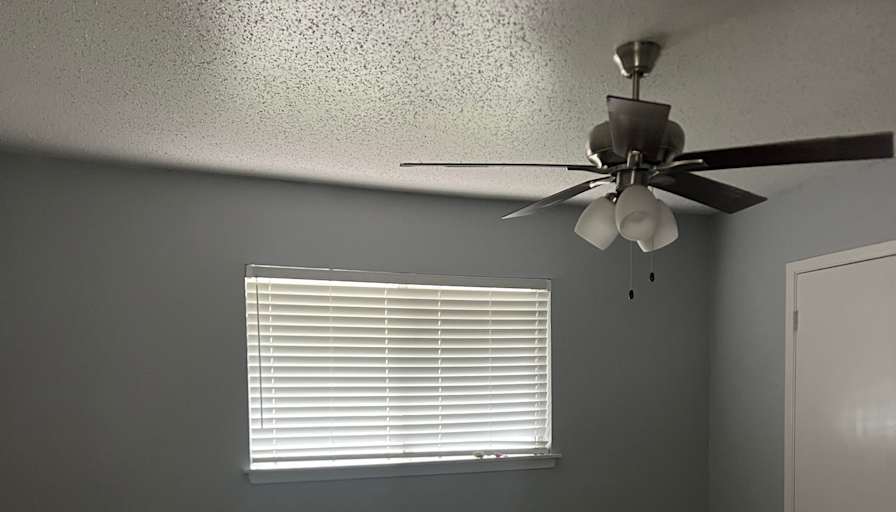 Brenda's room
