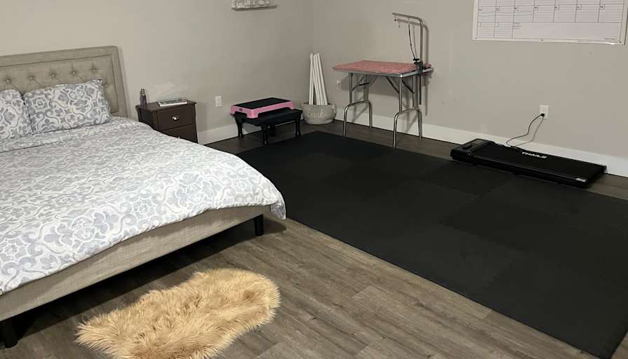 Ainsley Stapleton's room