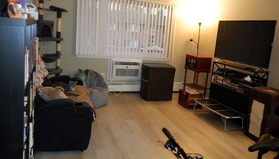 Skyler's room