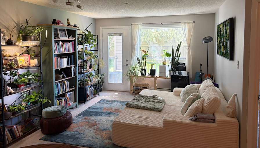 mackenzie's room