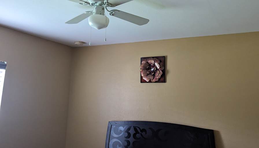 Steeve's room