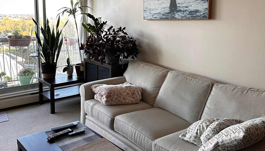 Olga Boiar's room