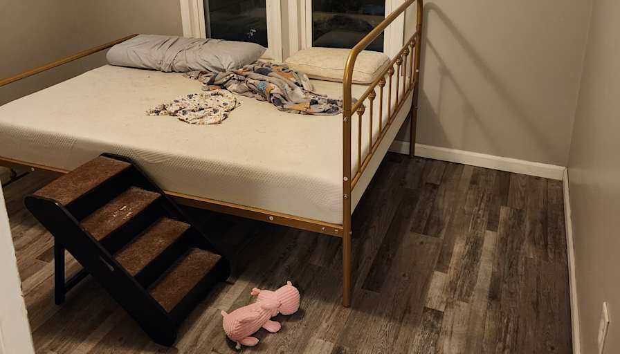 Dillon's room