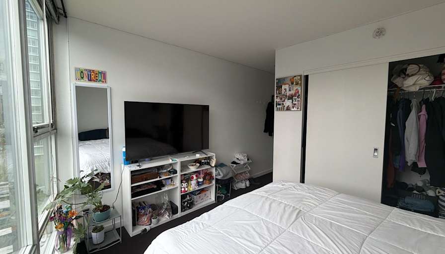 Cat's room