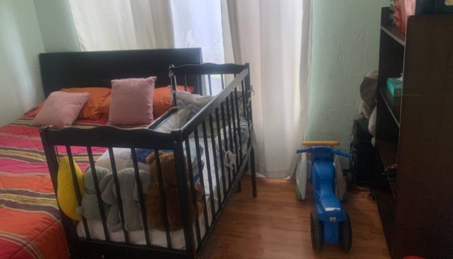 Zem's room