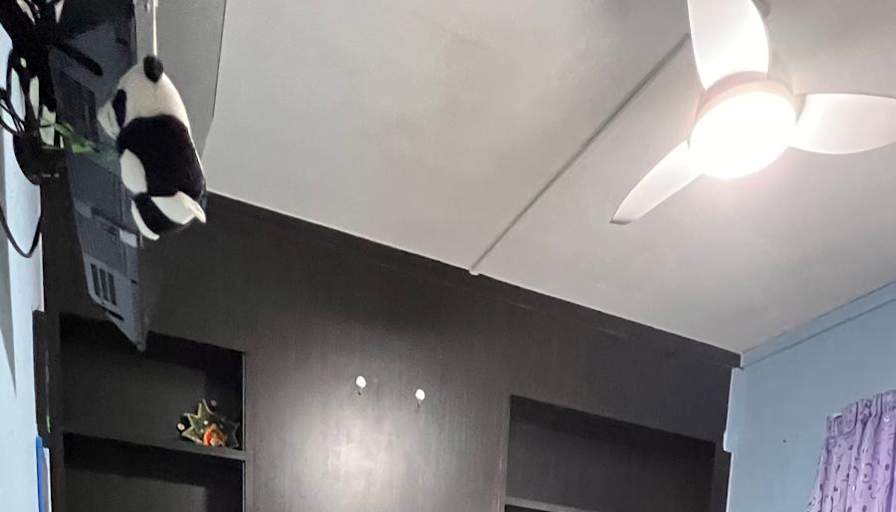 Viknes's room