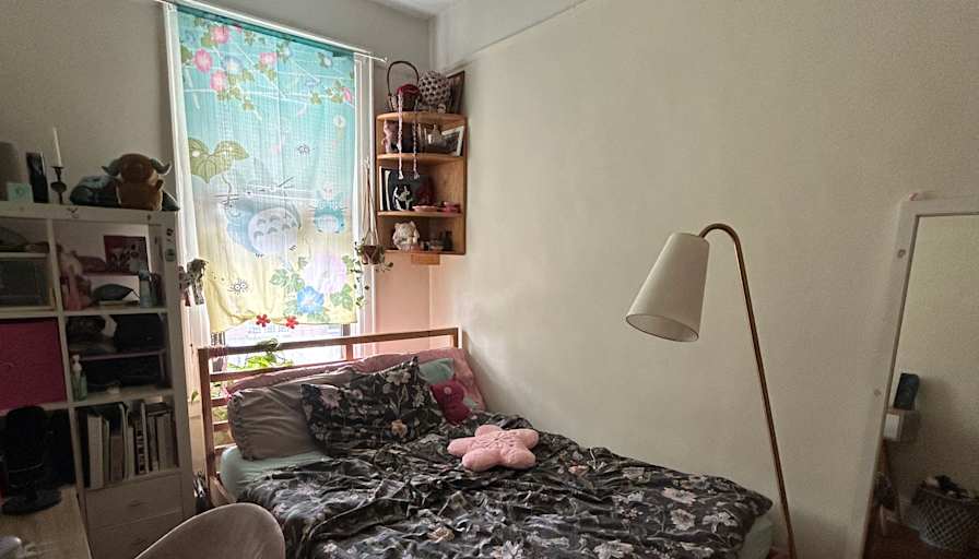 Ariana Falzarano's room