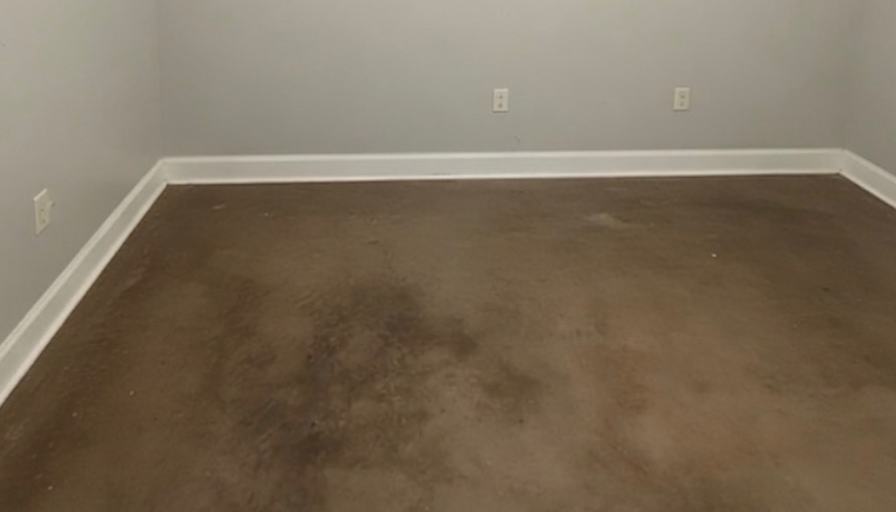 Sophia's room