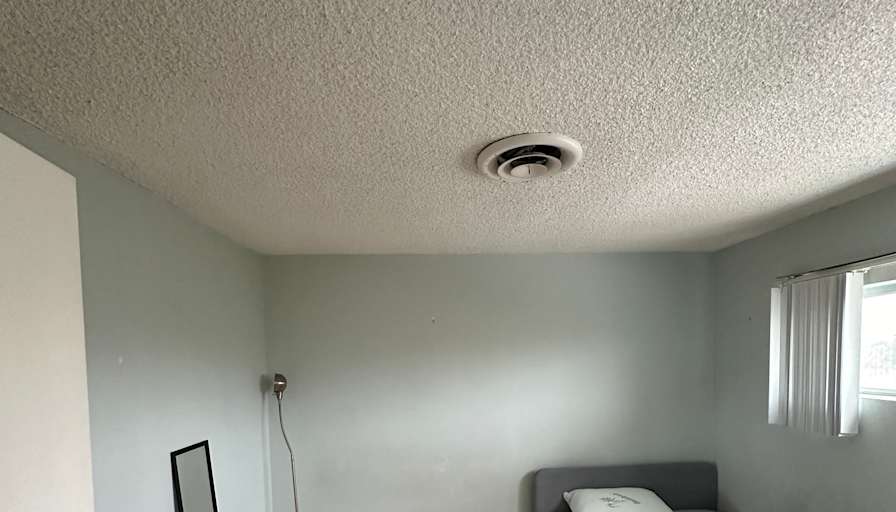 Ray's room