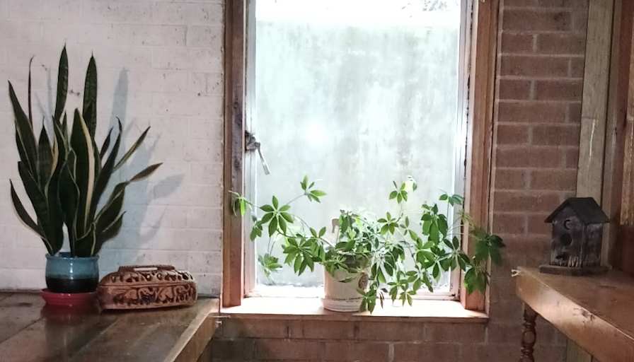 Sally's room