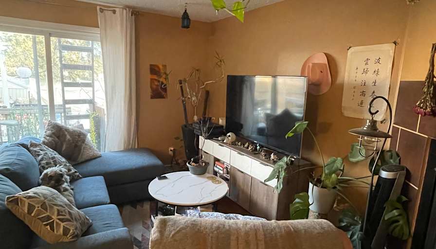 J Francisco Rivera's room