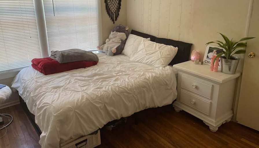 Desiree's room