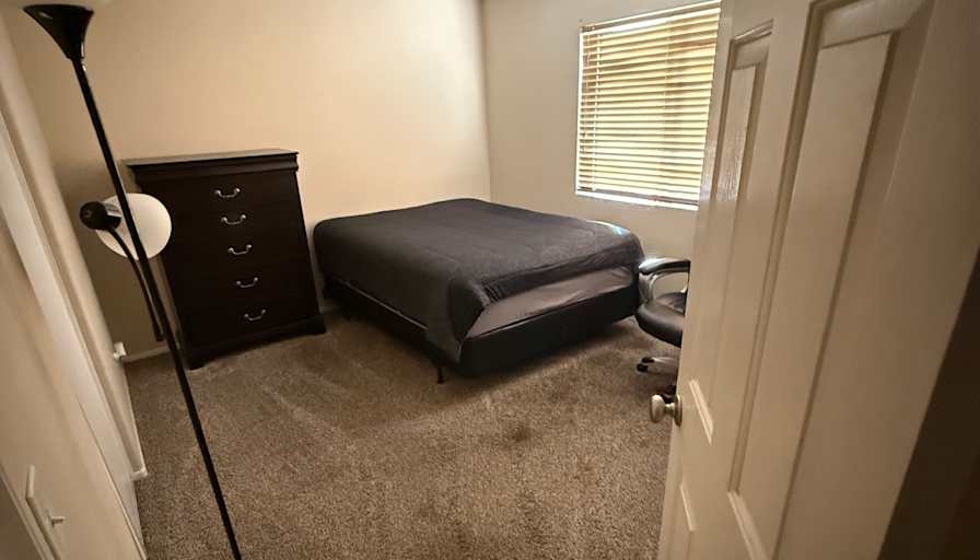 spaintal's room